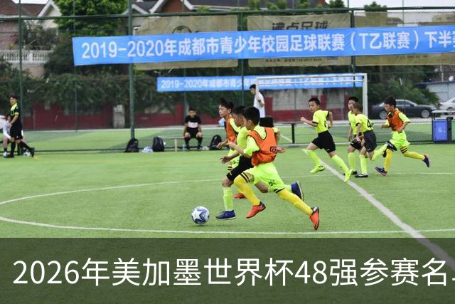 2026年美加墨世界杯48强参赛名单汇总